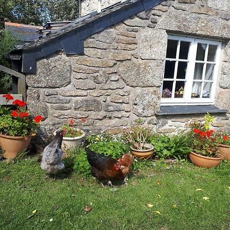 Borea Barn Vegetarian B&B St Ives Dış mekan fotoğraf